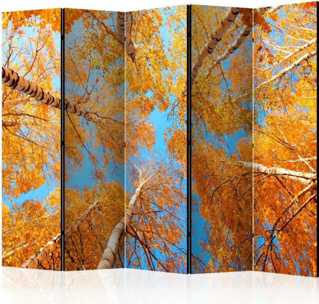Sermi Artgeist Autumnal treetops II 225x172cm