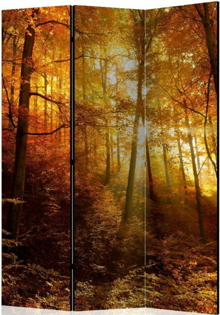 Sermi Artgeist Autumn Illumination 135x172cm