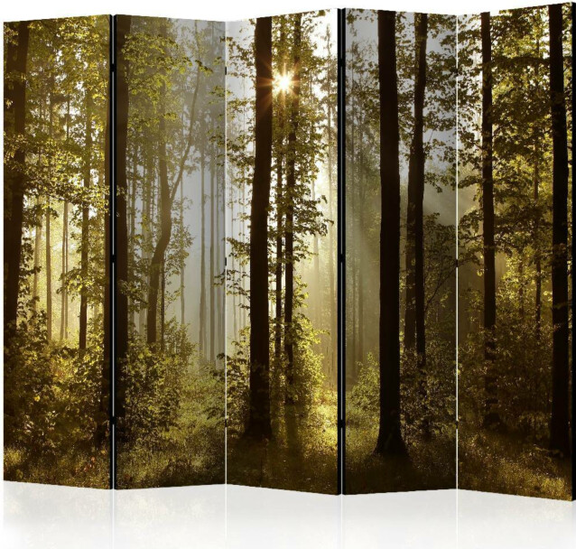 Sermi Artgeist Forest: Morning Sunlight II 225x172cm