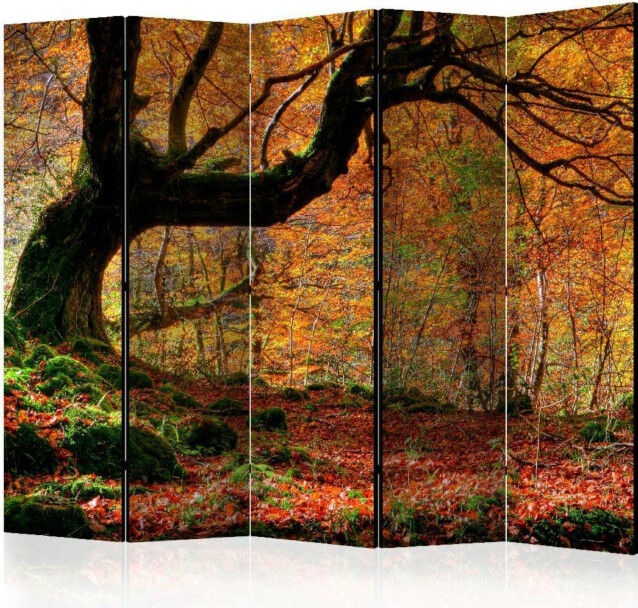 Sermi Artgeist Autumn forest and leaves II 225x172cm