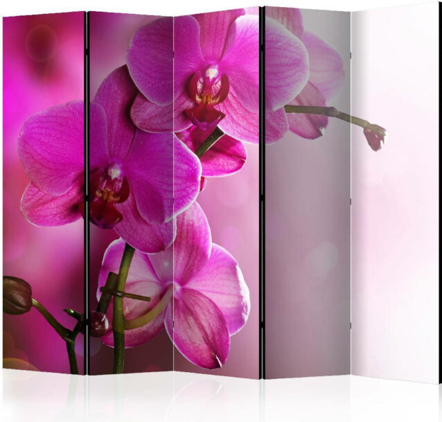 Sermi Artgeist Pink orchid 225x172cm