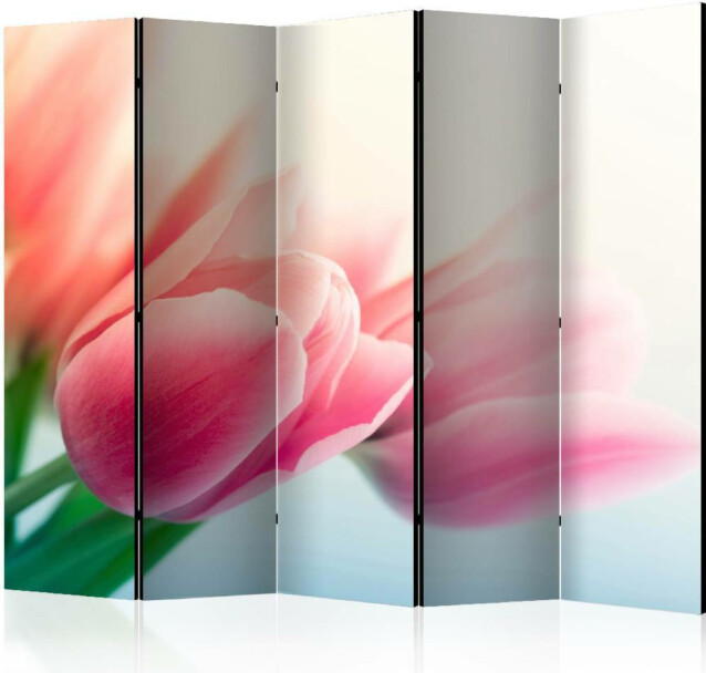 Sermi Artgeist Spring and tulips II 225x172cm