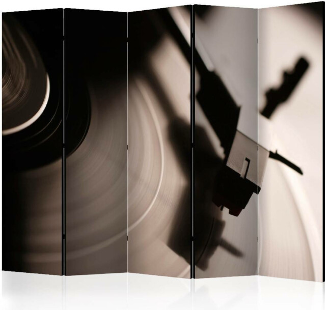 Sermi Artgeist Gramophone and vinyl record II 225x172cm