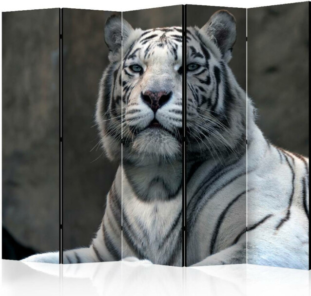 Sermi Artgeist Bengali tiger in zoo II 225x172cm