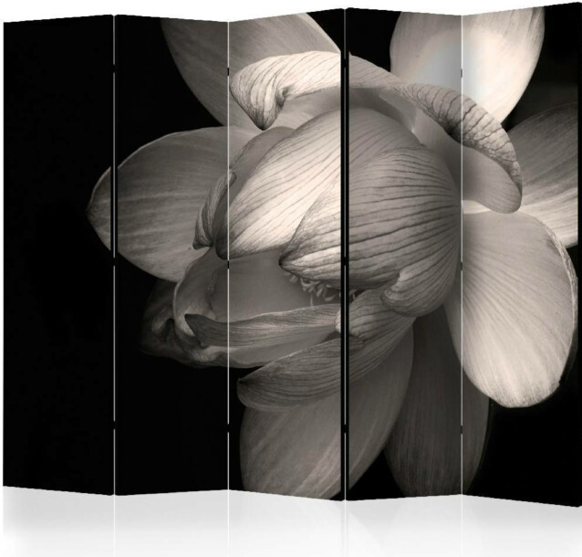 Sermi Artgeist Lotus flower II 225x172cm