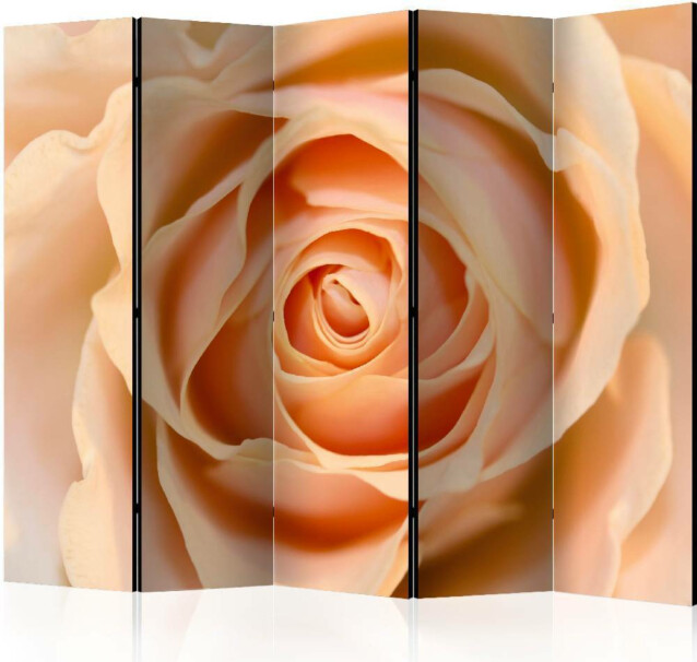 Sermi Artgeist Peach-colored rose II 225x172cm