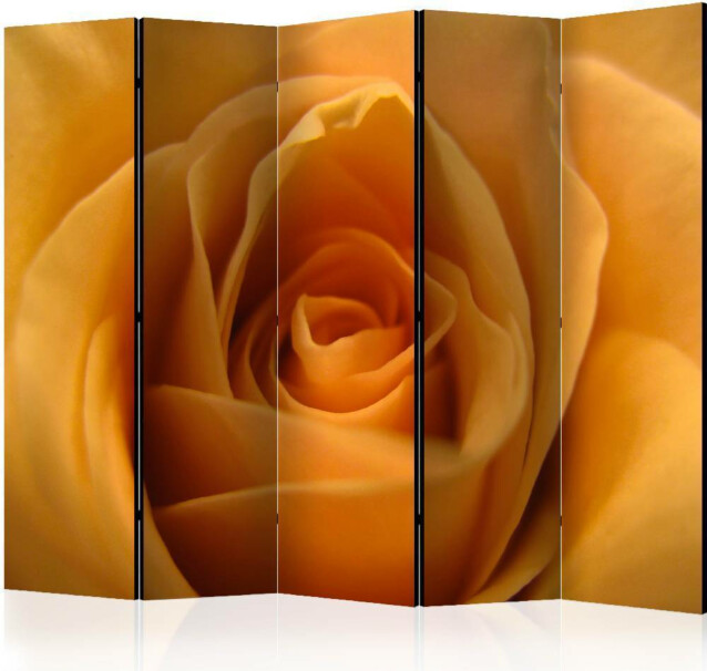 Sermi Artgeist Yellow rose - a symbol of friendship II 225x172cm