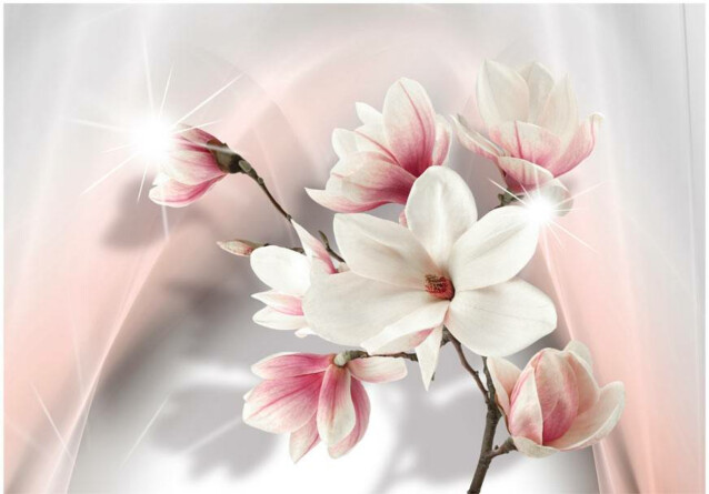 Kuvatapetti Artgeist White magnolias eri kokoja