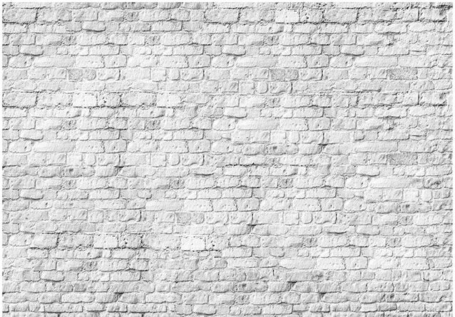 Kuvatapetti Artgeist White brick eri kokoja