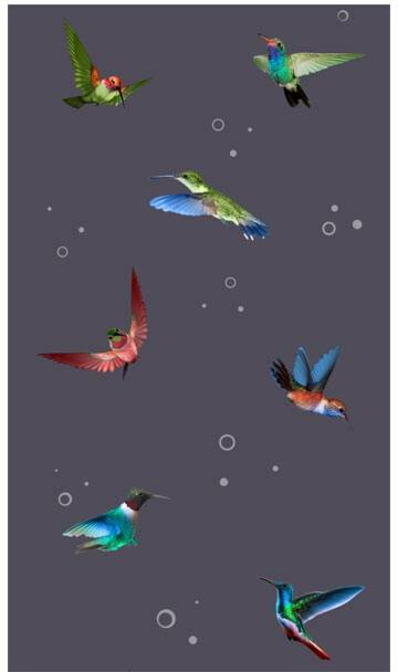 Tapetti Artgeist Flight of hummingbirds 50x1000cm