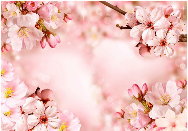 Sisustustarra Artgeist Magical Cherry Blossom eri kokoja