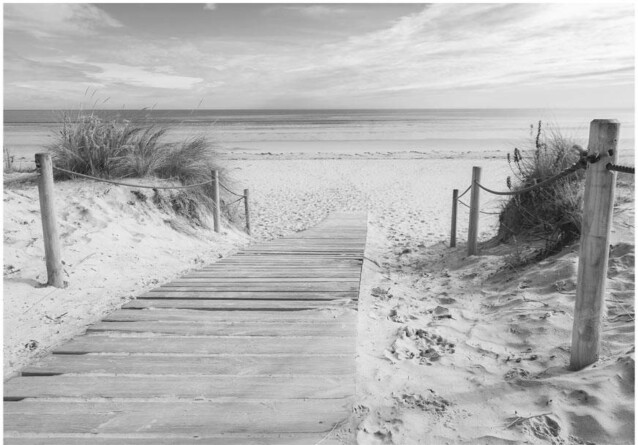 Sisustustarra Artgeist On the beach - black and white eri kokoja