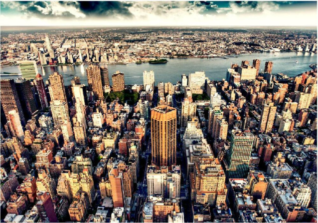 Sisustustarra Artgeist Bird's Eye View of New York eri kokoja