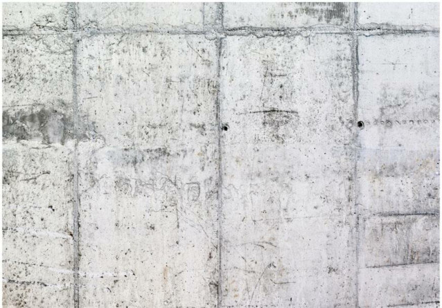 Sisustustarra Artgeist Concrete Wall eri kokoja