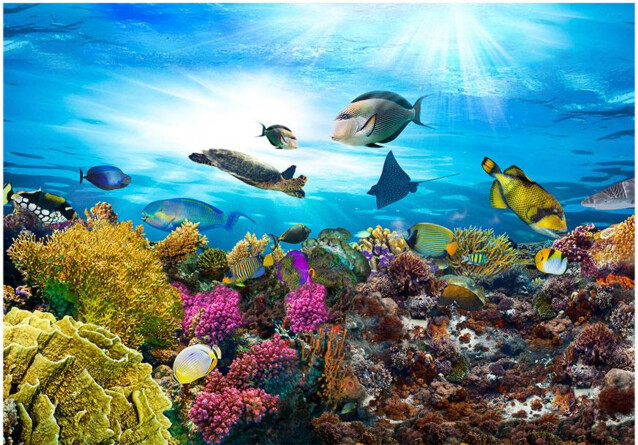 Sisustustarra Artgeist Coral reef eri kokoja