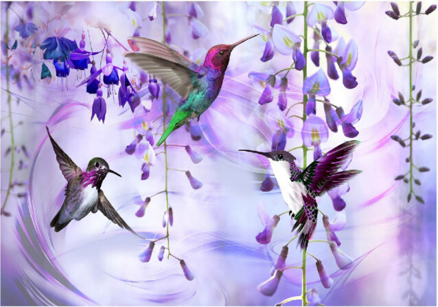 Sisustustarra Artgeist Flying Hummingbirds III eri kokoja