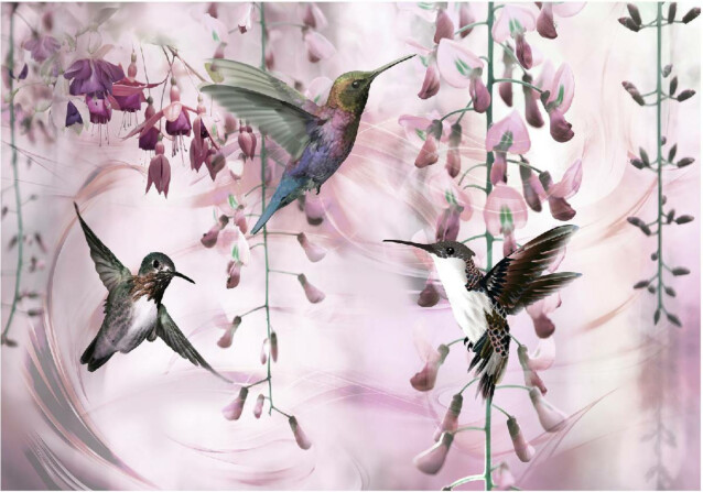 Sisustustarra Artgeist Flying Hummingbirds eri kokoja