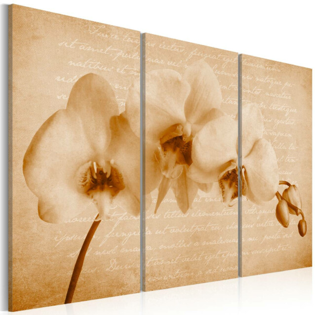 Taulu Artgeist Vintage Orchid, eri kokoja