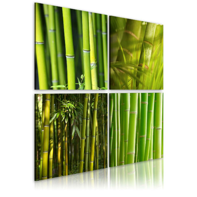 Taulu Artgeist Bambu, eri kokoja