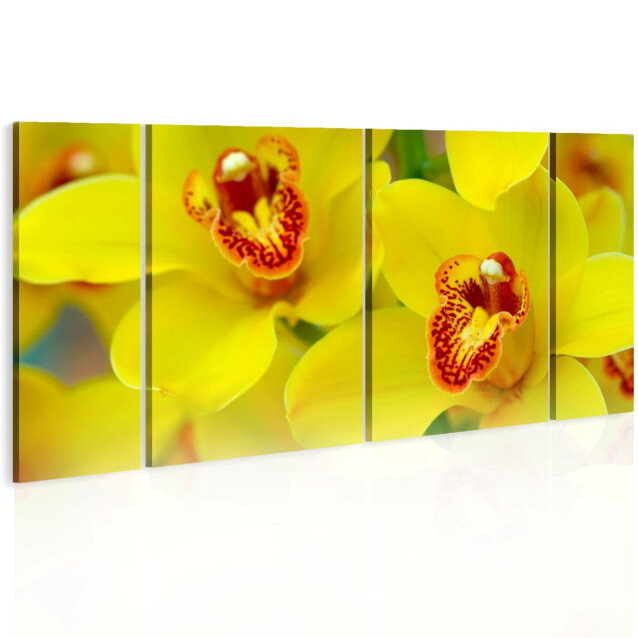Taulu Artgeist Orchids - intensity of yellow color, eri kokoja