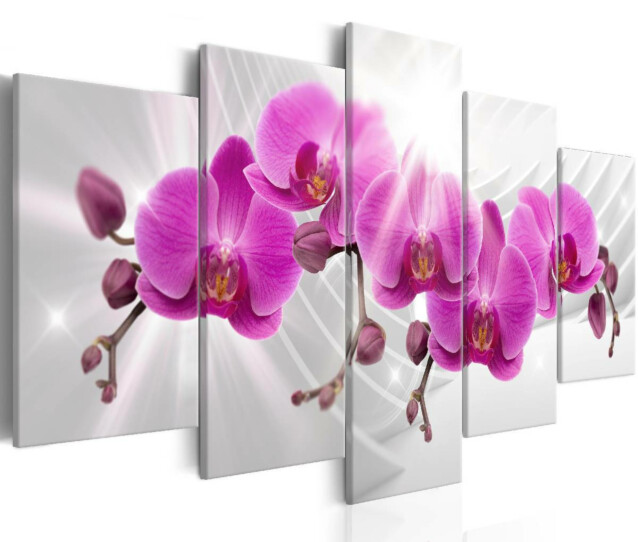 Taulu Artgeist Abstract Garden: Pink Orchids, eri kokoja