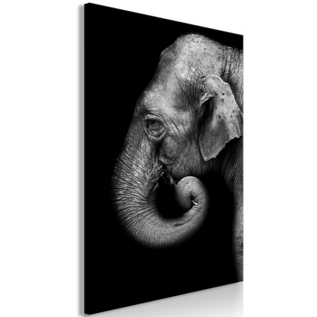 Taulu Artgeist Portrait of Elephant, 1-osainen, pystysuuntainen, eri kokoja
