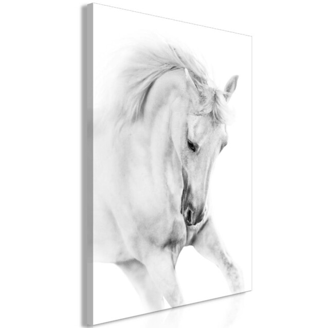 Taulu Artgeist White Horse, 1-osainen, pystysuuntainen, eri kokoja