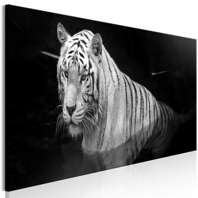 Taulu Artgeist Shining Tiger Black and White, 1-osainen, kapea, eri kokoja