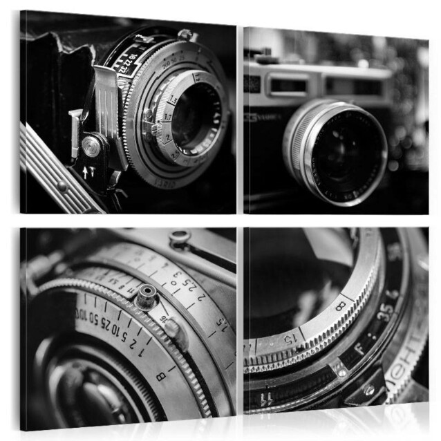 Taulu Artgeist Vintage Cameras, eri kokoja