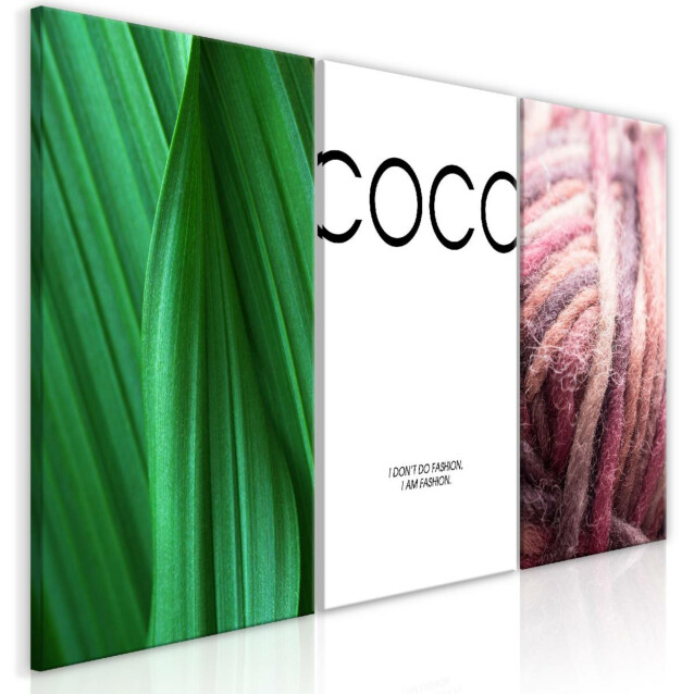Taulu Artgeist Coco Collection, eri kokoja