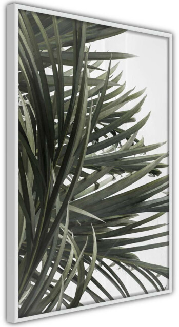Juliste Artgeist In the Shade of Palm Trees, kehyskartongilla, kehyksillä, eri kokoja