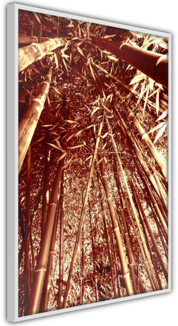 Juliste Artgeist Tall Bamboos kehyksillä eri kokoja