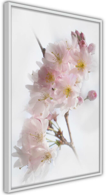 Juliste Artgeist Spring in Japan, kehyskartongilla, kehyksillä, eri kokoja