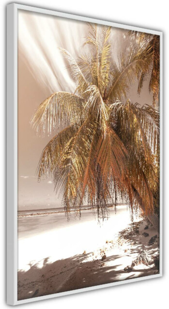 Juliste Artgeist Palm Shadow kehyksillä eri kokoja