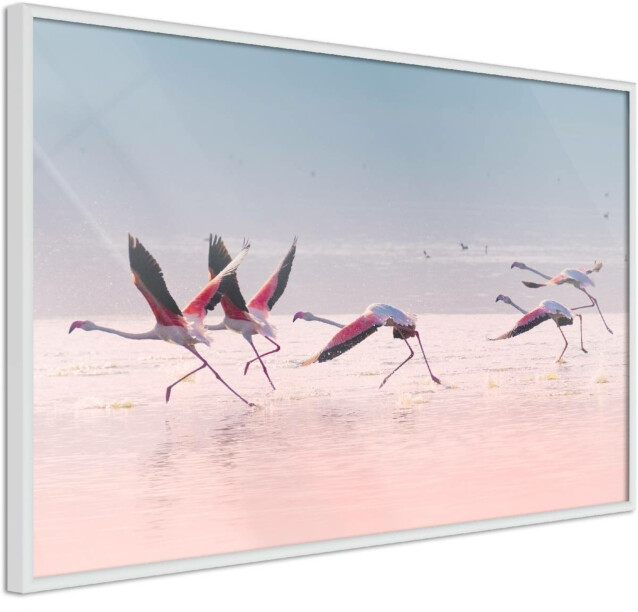 Juliste Artgeist Flamingos Race, kehyskartongilla, kehyksillä, eri kokoja