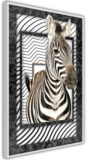 Juliste Artgeist Zebra, kehyskartongilla, kehyksillä, eri kokoja