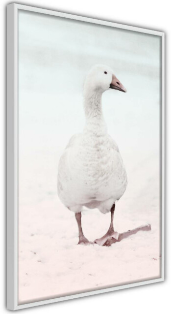 Juliste Artgeist Winter Duck kehyksillä eri kokoja
