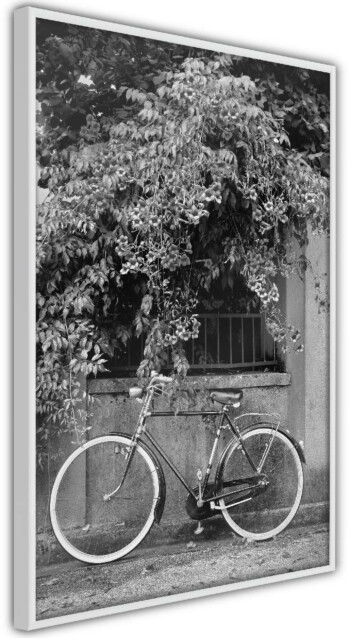 Juliste Artgeist Bicycle and Flowers, kehyskartongilla, kehyksillä, eri kokoja