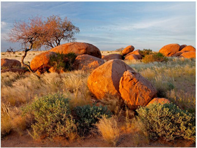 Kuvatapetti Artgeist Africa Namibia eri kokoja