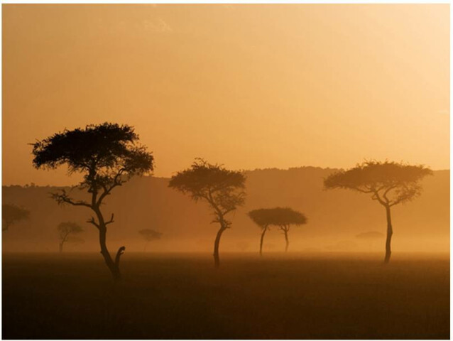 Kuvatapetti Artgeist Massai Mara eri kokoja
