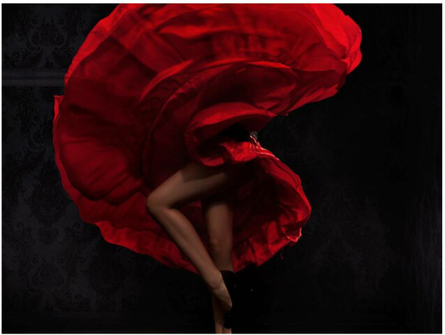 Kuvatapetti Artgeist Flamenco dancer eri kokoja