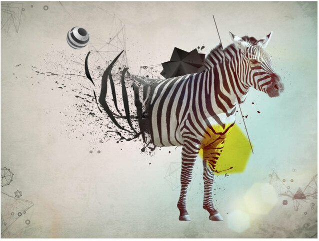 Kuvatapetti Artgeist Abstract Zebra eri kokoja