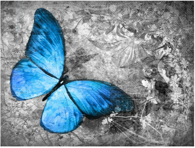 Kuvatapetti Artgeist Blue butterfly eri kokoja