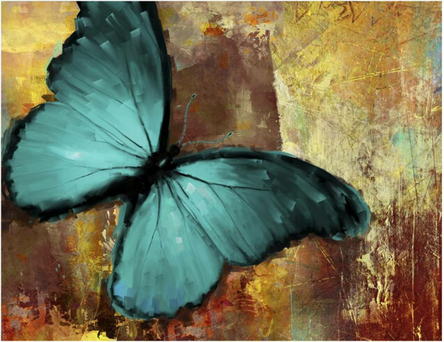 Kuvatapetti Artgeist Painted butterfly eri kokoja