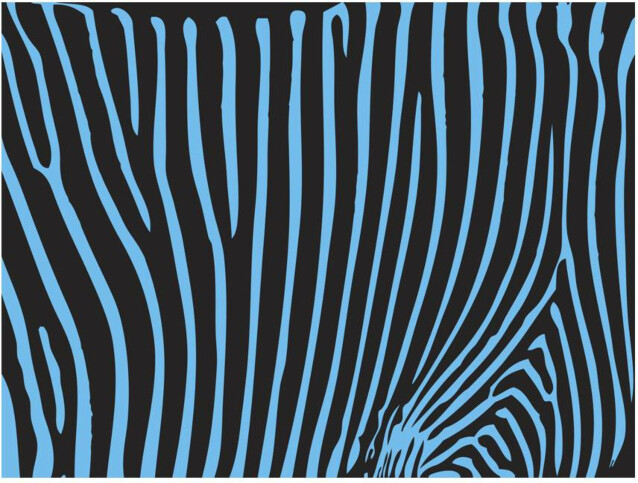 Kuvatapetti Artgeist Turquoise Zebra Pattern eri kokoja