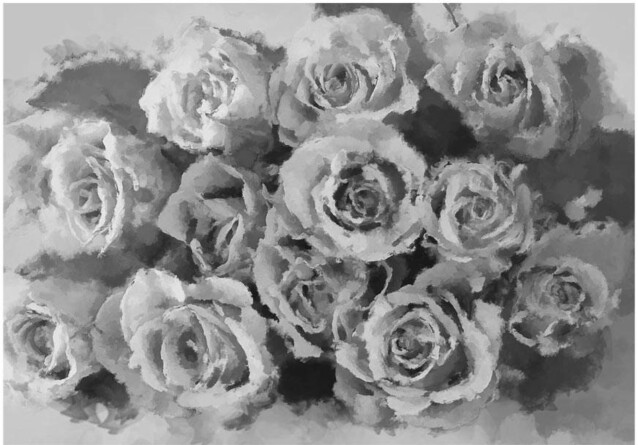 Kuvatapetti Artgeist A dozen roses eri kokoja