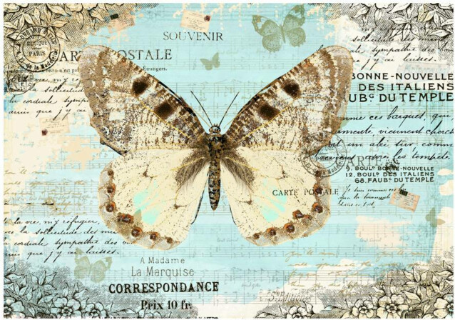 Kuvatapetti Artgeist Postcard with butterfly eri kokoja