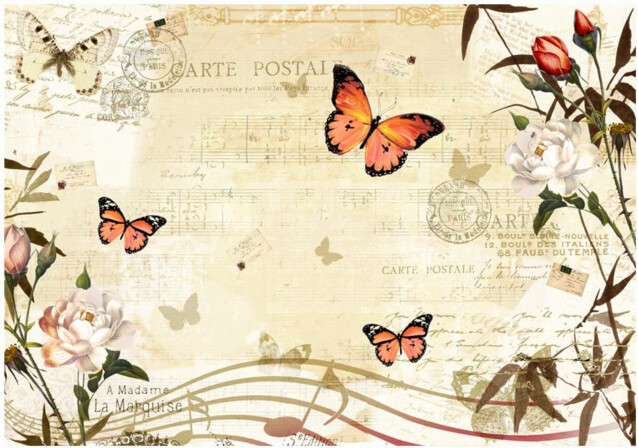 Kuvatapetti Artgeist Melodies of butterflies eri kokoja
