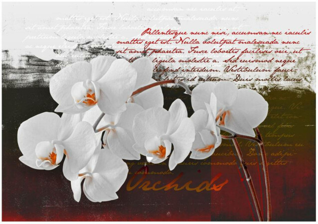 Kuvatapetti Artgeist Diary and orchid eri kokoja