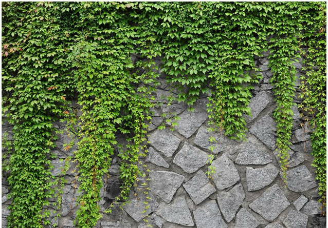 Kuvatapetti Artgeist Green wall eri kokoja